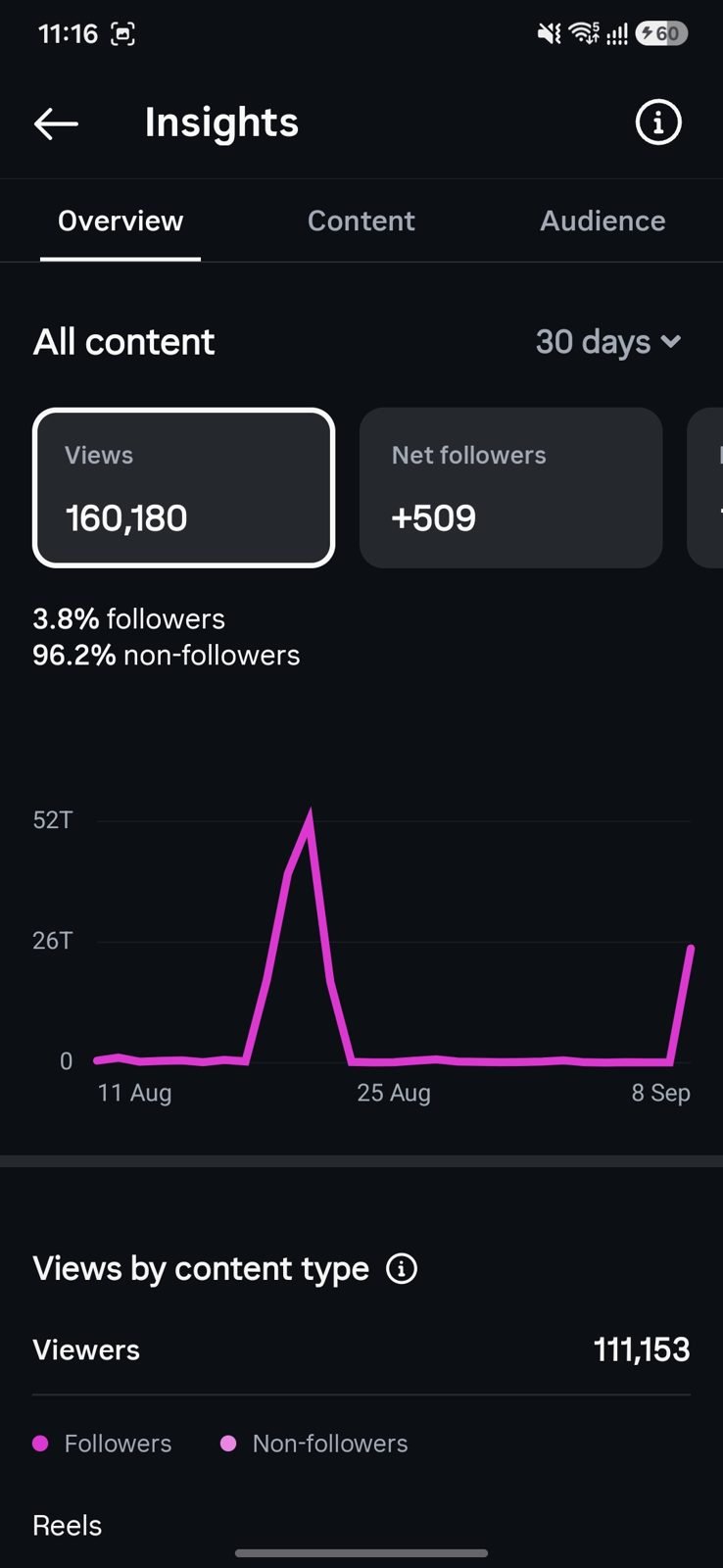 Instagram insights after Creator Connect: 160,180 views and 509 new followers in 30 days